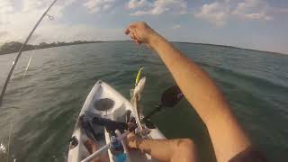 Kayak Fishing Elimbah and Bells creek GoPro Hero8 HD [upl. by Amoreta]