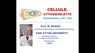 Cytosquelette cytoskeleton هيكل خلوي filaments transport des virus  lien avec cancers [upl. by Irac793]