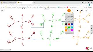 Digestion and Absorption for Alevel Biology Carbohydrates proteins and lipids micelles [upl. by Kuebbing]