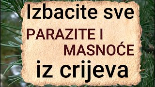 Izbacite sve PARAZITE I MASNOĆE IZ CRIJEVA  Detoks quotčišćenjequot tijela od parazita  RECEPT [upl. by Dorahs372]