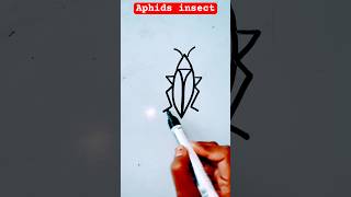 How to draw Aphids insect howtodraw kidsdrawing shorts PalakEducationArts [upl. by Maiga]