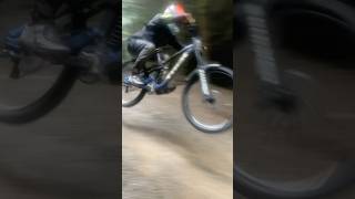 Dyfi bike park new section mtb dyfi downhill [upl. by Melda749]