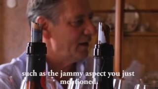 Wine Expert tastes Italian Wines Masi Costasera Amarone della Valpolicella [upl. by Menendez]