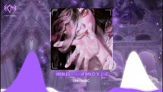 Trebles  Nam Milo x BNT  Nhạc Remix Hot Tik Tok [upl. by Lenoil]