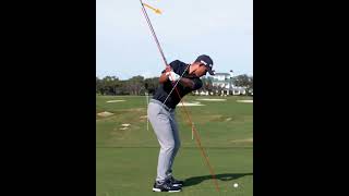 Collin Morikawa golf swing analysis shorts golfshorts golf golfswing alloverthegolf [upl. by Nannahs658]