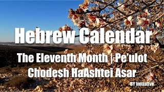 Hebrew Calendar  The Eleventh Month  Peulot  Chodesh HaAshtei Asar [upl. by Leotie606]