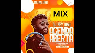 DJ REY DIMI X DENON  CHEGUEI MIX [upl. by Aciraa]