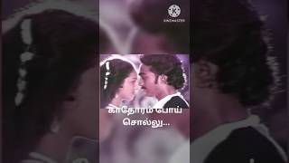 Vaigai karai kaatre nillu  Tamil Song With lyrics  Innisai Paadal Varigal 😉☺️ [upl. by Idnil]