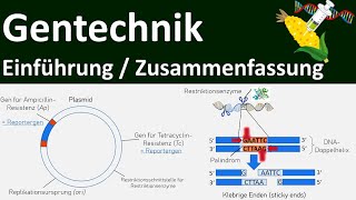 Gentechnik  Einführung  Zusammenfassung  Abitur Biologie Genetik Oberstufe  17 [upl. by Veradia831]