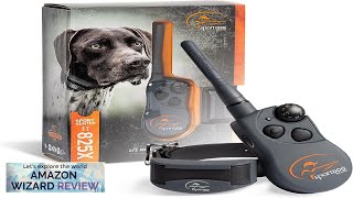 SportDOG Brand SportHunter 825X Shock Collar  12 Mile Range  Dog Review [upl. by Moorefield]