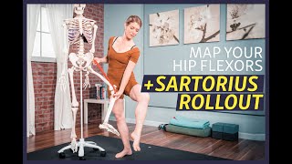 Understand Your Hip Flexors and Massage Your Sartorius [upl. by Ahtanoj]