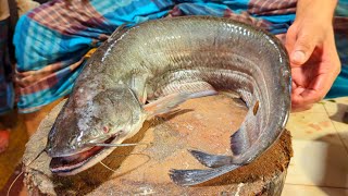 Amazing Giant Wallago Attu Catfish Boal Cutting Skills In Bangladesh Local Fish Market [upl. by Euqcaj]