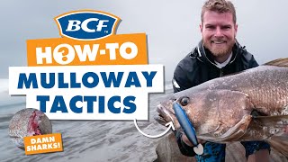 Catch Mulloway or Jewfish  BCF How To [upl. by Mila325]