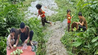 Terrifying The daughter accidentally flooded the garden Father and son harvest melons to sell [upl. by Orpah]