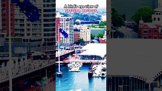 DARLING HARBOUR Sydney🇦🇺 birdseyeview sydney australia darling harbour anzac anzacbridge [upl. by Olmstead]