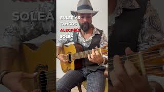 4 Flamenco Palos  Bulerías Tangos Alegrías amp Soleá [upl. by Annaert]