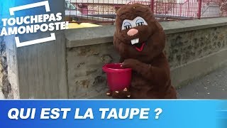 Qui est la taupe de TPMP [upl. by Annoel]