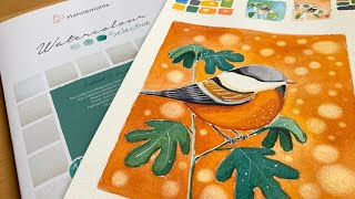 Hahnemühle The Collection watercolor paper 300gsm review  Bird illustration  Watercolor selection [upl. by Sialac60]