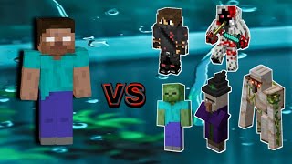 Herobrine Vs Mobs Entitys And Herobrine Edit [upl. by Stetson103]