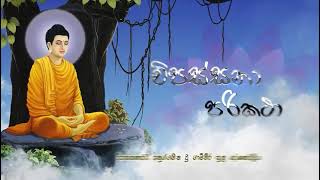 Vipassana Parikatha  විපස්සනා පරිකථා [upl. by Nnylak740]