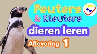 Dierennamen  Eerste Woordjes  Dieren Leren Aflevering 1 Peuters en Kleuters [upl. by Evette]