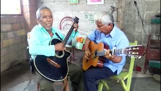 Duo cedros de líbano ya mi tiempo está cumpliendo ubicado en CHICOMUSELO Chiapas [upl. by Akehsay]