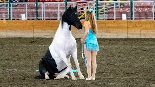 Liberty and Free Riding Performance at the Evergreen State Fair [upl. by Diba854]