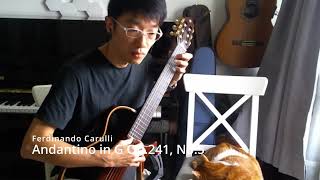 Andantino in G Op241 No5  Ferdinando Carulli  Classical Guitar  20240824 [upl. by Nairam]