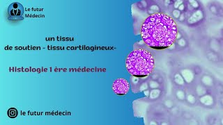 Un tissu cartilagineux un tissu de soutien  Histologie 1 ère médecine [upl. by Ecirtnuahs629]