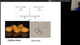 Absorption of Amino acids Hartnup disiase and Cystinuria USMLE Step1 [upl. by Aisak589]