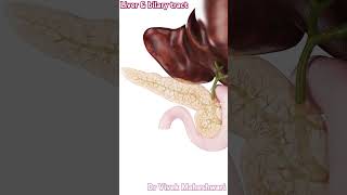 liver and biliary tract [upl. by Milford]