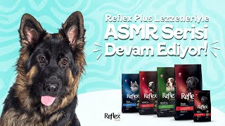 Reflex Plus ASMR  Rocky [upl. by Aciria103]