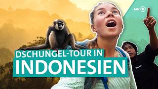 Backpacking in Indonesien DschungelTour auf Sumatra  Young Adventurers  ARD Reisen [upl. by Monroe]