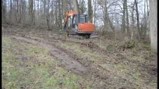 Natuurpunt laat populieren op Kesterheide kappen [upl. by Robinette]