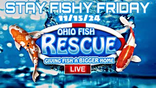 Stay Fishy Friday livestream 111524 [upl. by Hank]