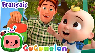 La rentrée des classes  Épisode Complet  CoComelon en Français  Chansons pour bébés [upl. by Durstin]