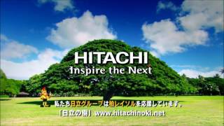 HITACHI 日立の樹「樹と光」 [upl. by Mauer]