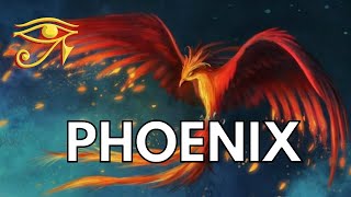 Phoenix  Mystic Bird of Renewal [upl. by Ysus]