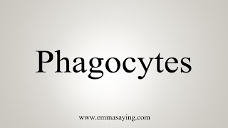 How To Say Phagocytes [upl. by Sinnard]