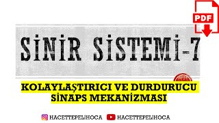 141  SİNİR SİSTEMİ 7  KOLAYLAŞTIRICI VE DURDURUCU SİNAPSLAR  11 SINIF AYT  hacettepelihoca [upl. by Ameh]