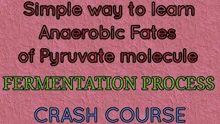 Fate of pyruvic acid alcoholic and lactic acid fermentation anaerobic fate [upl. by Iztim353]