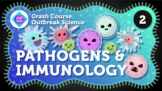 How Do Outbreaks Start Pathogens and Immunology Crash Course Outbreak Science 2 [upl. by Athiste]