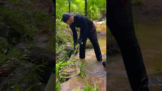 Finding Gold Using A DIY Hand Dredge [upl. by Lamonica159]