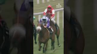 📅 COUNTDOWN 2️⃣ RoyalAscot Reliving Frankie Dettori and LOCHSONG 👏  Shorts [upl. by Saville]