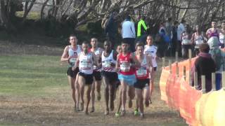 France de Cross 2013  Séniors Hommes [upl. by Corbie]