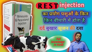 Rest injection use in Animals  Nimesulide amp Paracetamol injection  Nimesulide  paracetamol [upl. by Nytsirhc207]