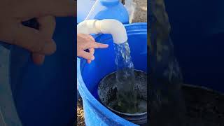 Fix the Flow for Filter Flush Aquaponic System [upl. by Avalsorim27]