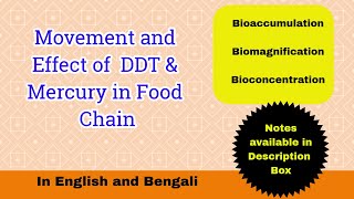 Movement of DDT and Mercury in Food Chain Effect of DDT and Mercury Toxicology Part6 [upl. by Yhprum36]