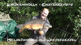 Karpfenangeln  Einsteigertipps  Milchkähnchen als Wasserkessel [upl. by Eisle]