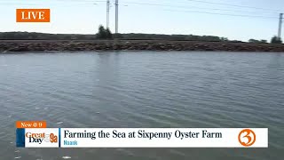 Sixpenny Oyster Farm [upl. by Ellehsyt]